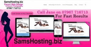 sams hosting web design